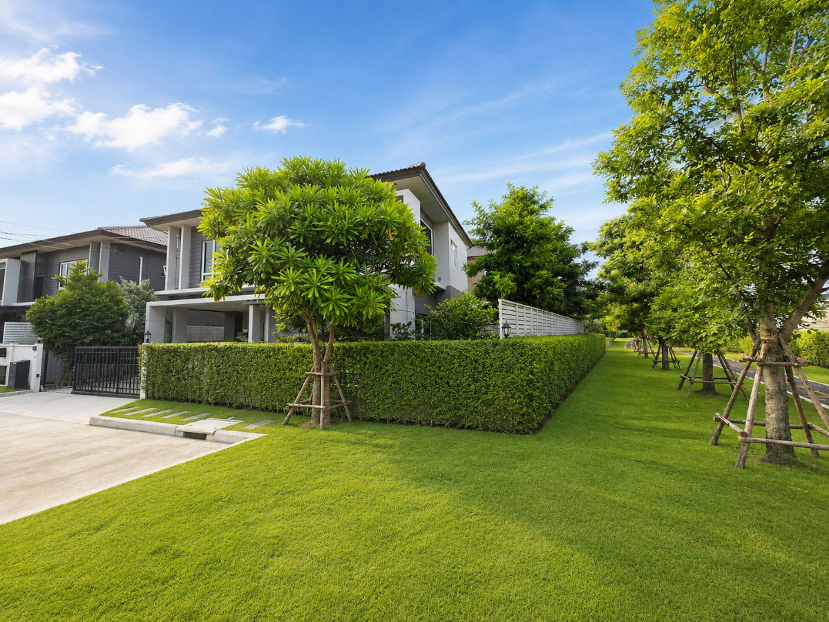 รูป 🏡✨ ให้เช่าบ้านเดี่ยว 2 ชั้น สไตล์มูจิ – Centro พหลฯ–วิภาวดี 2 📍 บ้านหลังมุม ติดสวนส่วนกลาง ทำเลดีที่สุดของโครงการ เงียบสงบ เป็นส่วนตัว - รูปที่ 16/16