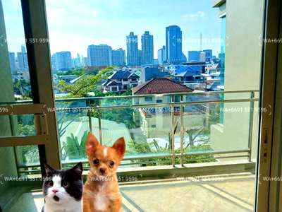 คอนโดให้เช่า : 3Bed Penthouse+maid room🏨Big 280sqm!! Pet-Friendly Apartment for Rent BTS Thonglor-Phrom Phong🎡many Balconies/Bathtubs🌟Newly Touched up!!