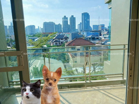 3Bed Penthouse+maid room🏨Big 280sqm!! Pet-Friendly Apartment for Rent BTS Thonglor-Phrom Phong🎡many Balconies/Bathtubs🌟Newly Touched up!!