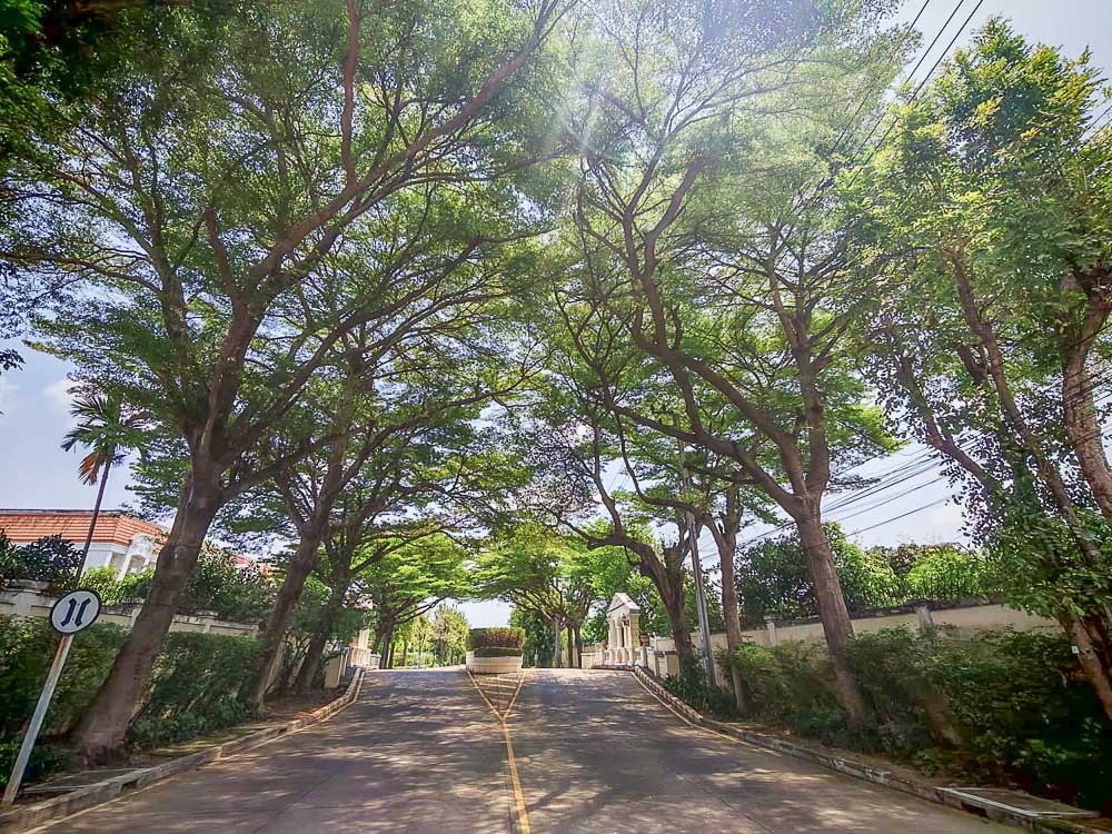 รูป ให้เช่าบ้านสวน 5 ห้องนอน ใกล้ สาทร-BTS บางหว้า  - รูปที่ 18/19