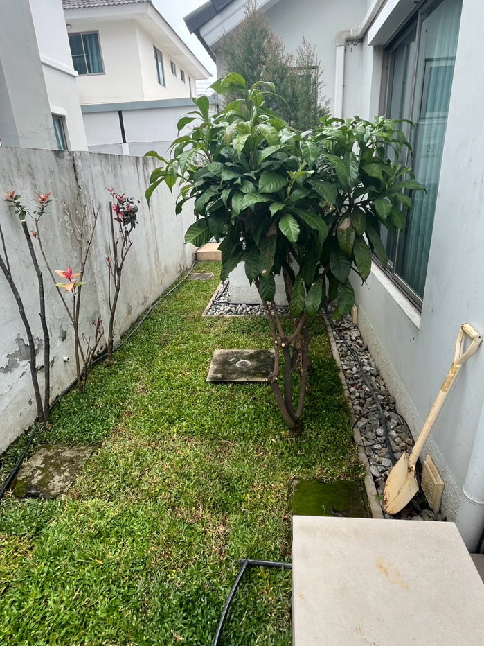 picture Must add Line only // 💞 Ready-to-move-in garden life - 20/27