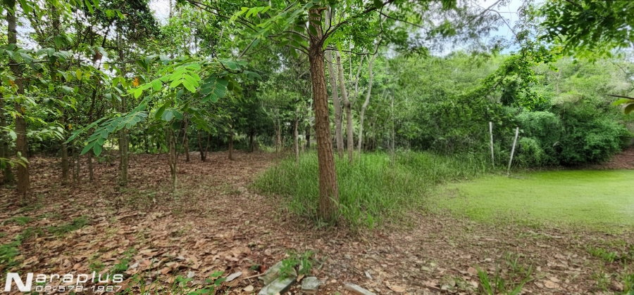 รูป 69080438 : ขายที่ดินแปลงสวย ติดทางหลวง 4 ช่องจราจร ถนนเจนจบทิศ เนื้อที่ 6 ไร่ 2งาน 45 ตารางวา ต.นางรำ อ.ประทาย นครราชสีมา กำไรตั้งแต่ซื้อ - รูปที่ 10/16