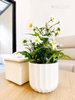 listing thumbnail image 5
