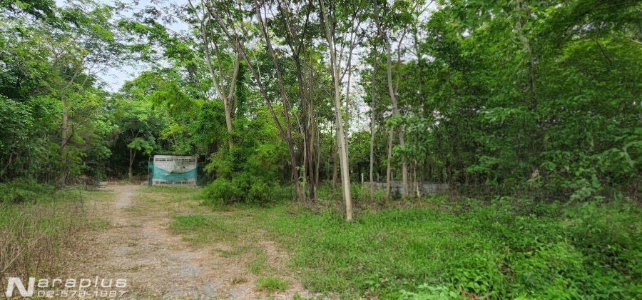 รูป 69080438 : ขายที่ดินแปลงสวย ติดทางหลวง 4 ช่องจราจร ถนนเจนจบทิศ เนื้อที่ 6 ไร่ 2งาน 45 ตารางวา ต.นางรำ อ.ประทาย นครราชสีมา กำไรตั้งแต่ซื้อ - รูปที่ 5/16