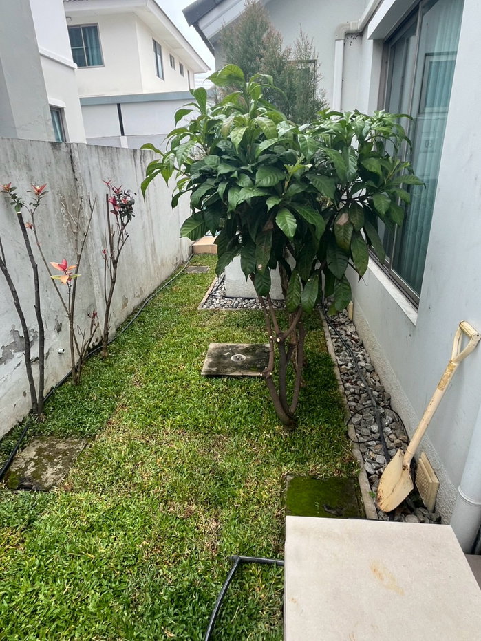 picture Must add Line only // 💞 Ready-to-move-in garden life - 19/27