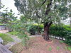 listing thumbnail image 22