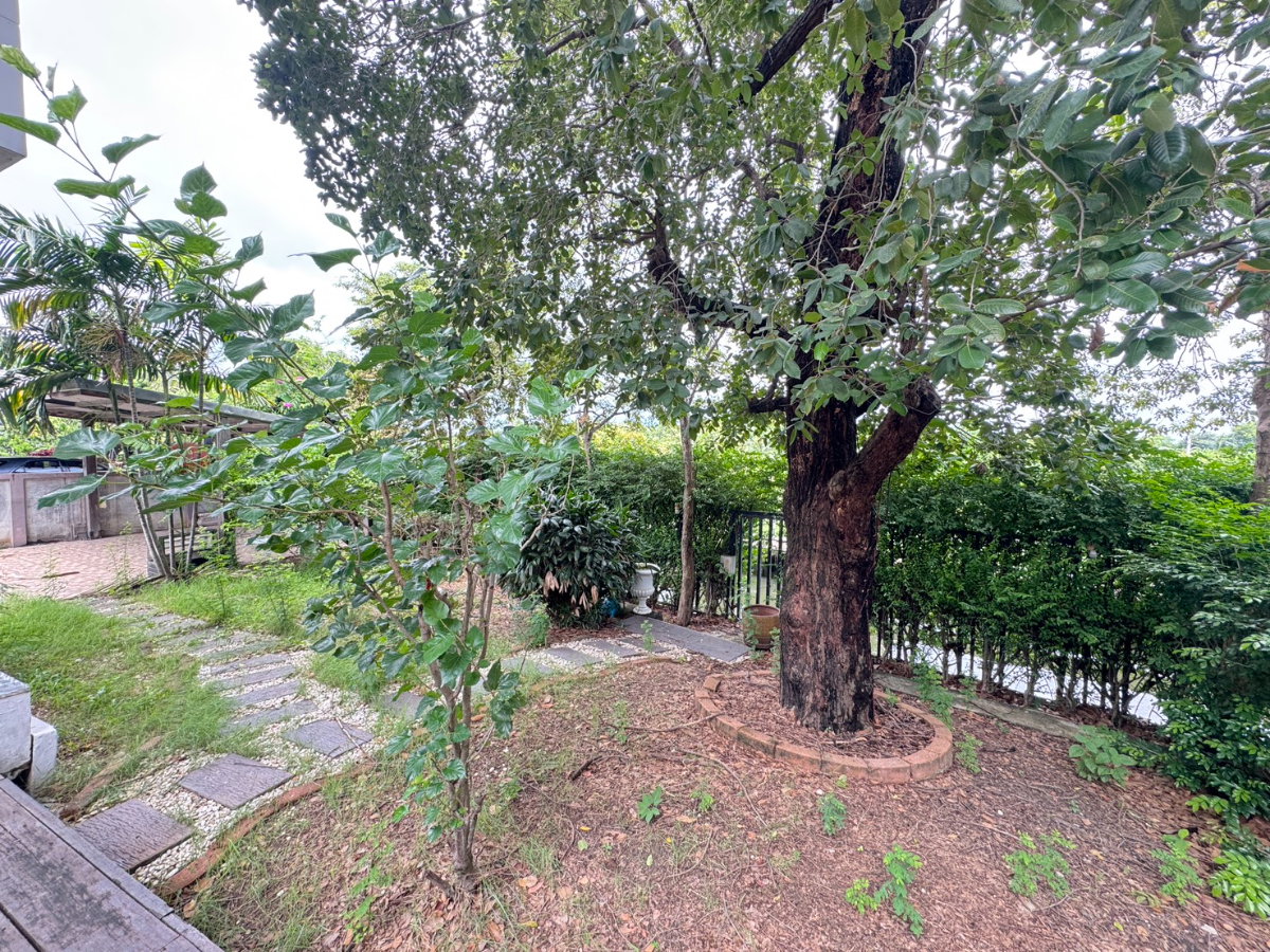 รูป บ้านบุษราคัม เรสซิเดนท์ บ้านแบบนี้…ไม่ได้มีไว้แค่อยู่อาศัย แต่มีไว้ “พักผ่อนทุกวัน” - รูปที่ 23/27
