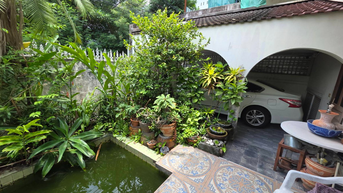 รูป ขายบ้านเอกมัย 22 ซอยเยาวราช สุขุมวิท ที่ดิน 42 ตร.ว สภาพแวดล้อมน่าอยู่ ทำเลดี ถนนกว้าง เข้าออกได้ทั้งฝั่งเอกมัย ปรีดีพนมยงค์ ใกล้ BTS พระโขนง ทองหล่อ - รูปที่ 3/12