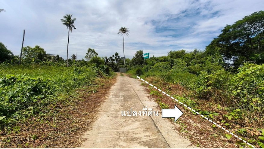 รูป ขายที่ดินนครปฐม ซอยสามพราน 12/2 แปลงสวย ผังสีชมพู 8 ไร่ 79 ตรว ทำเลทองใกล้ชุมชน ฝั่งตรงข้ามโลตัสสามพราน เข้าซอยจากถนนเพชรเกษมเพียง 650 เมตร! - รูปที่ 5/7