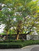 listing thumbnail image 13