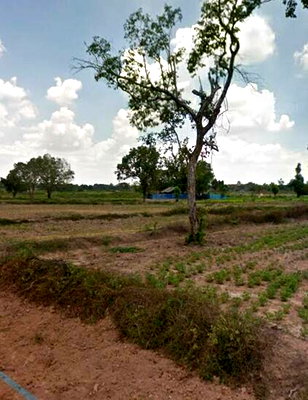 Land for sale Boromarajonani College Of Nursing Sanpasithiprasong : For sale: vacant land, good location, beautiful, Ubon Ratchathani