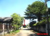 listing thumbnail image 10
