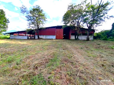 โรงงาน เมืองหนองบัวลำภู หนองบัวลำภู : โกดัง 3472 ตร.วา เมืองหนองบัวลำภู หนองบัวลำภู 13.9M