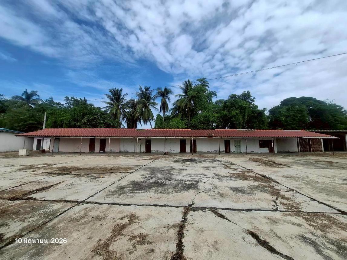 picture FACTORY 19157 Sq.w. Pho Thale Phichit for 103M - 42/57