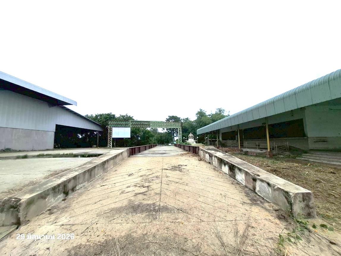 รูป โกดัง 6378 ตร.วา ดอนเจดีย์ สุพรรณบุรี 39.3M - รูปที่ 37/41