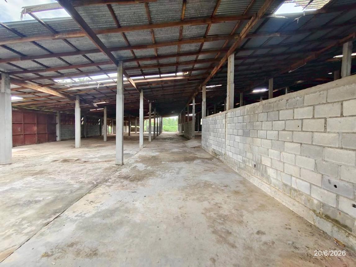 รูป โกดัง 3472 ตร.วา เมืองหนองบัวลำภู หนองบัวลำภู 13.9M - รูปที่ 25/31