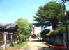 listing thumbnail image 5