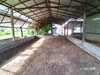 listing thumbnail image 51