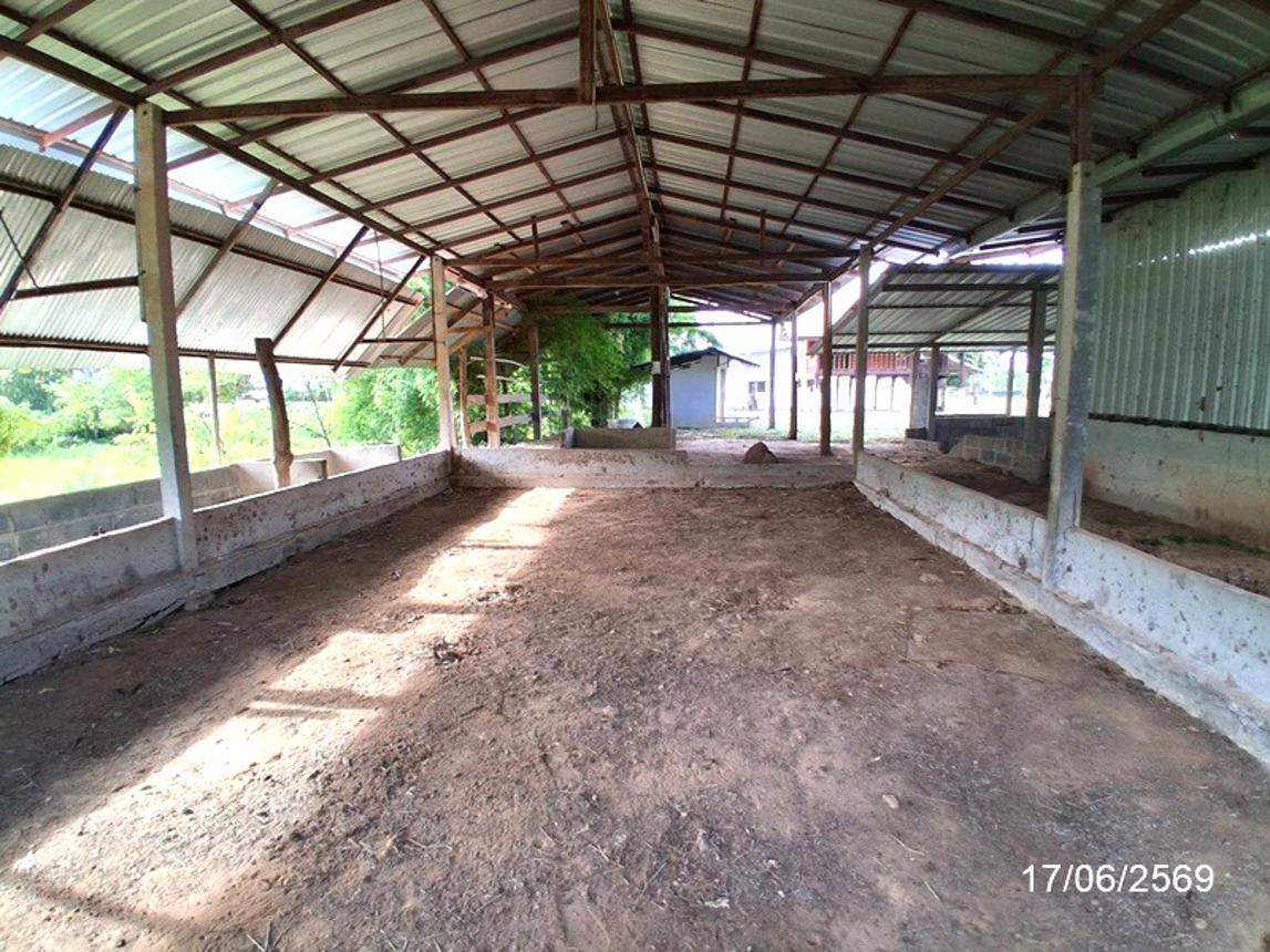 รูป โกดัง 6641 ตร.วา เมืองอำนาจเจริญ อำนาจเจริญ 10.5M - รูปที่ 52/59