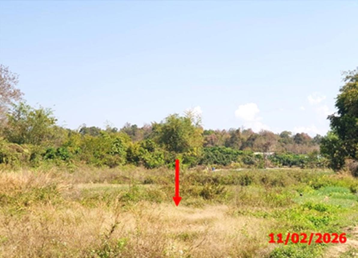 รูป ที่ดินว่างเปล่า 2145 ตร.วา ลี้ ลำพูน 1.5M - รูปที่ 9/13