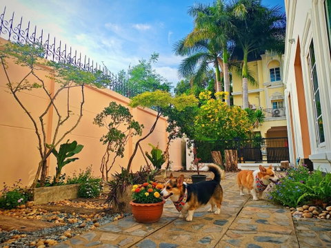 Super Rare Corner Unit Next to Park! Newly Renovated Townhome @Urban Sathorn – Pet Friendly 🌿