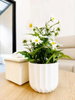 listing thumbnail image 7