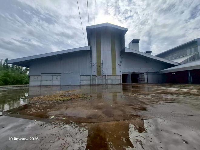 picture FACTORY 19157 Sq.w. Pho Thale Phichit for 103M - 6/57