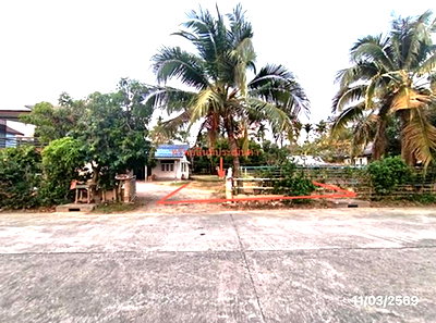 ที่ดิน ม.สงขลานครินทร์ (ม.อ.) : ที่ดินว่างเปล่า 76 ตร.วา หาดใหญ่ สงขลา 2.1M