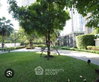listing thumbnail image 9