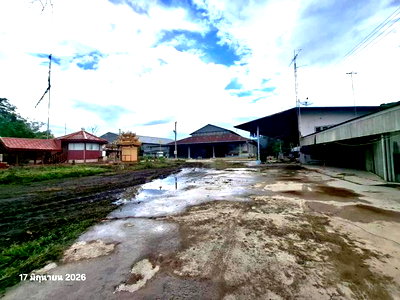 Factory for sale Nakhon Sawan : FACTORY 9169 Sq.w. Tha Tako Nakhon Sawan for 37.5M