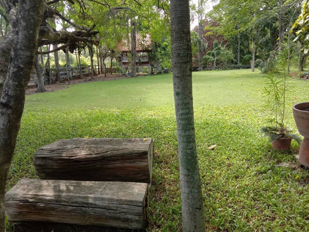 picture For Sale: 2-Rai Vacation Home with Unique Treehouse in Khanong Phra, Pak Chong - 8/12