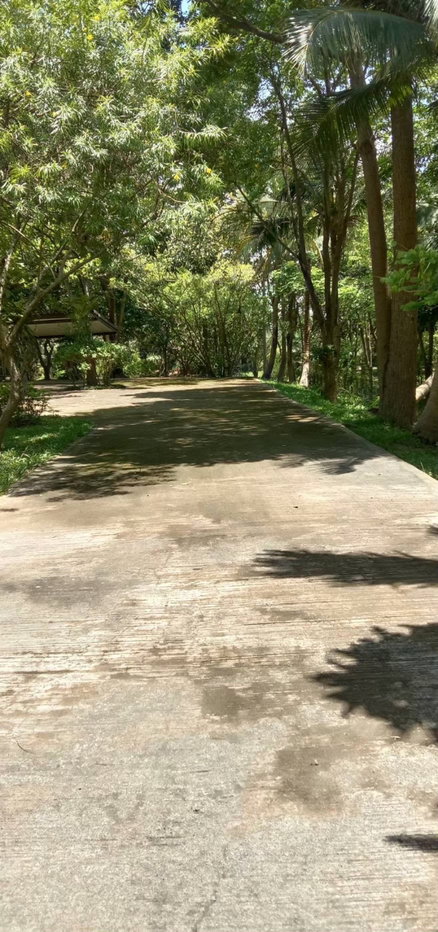 picture For Sale: 2-Rai Vacation Home with Unique Treehouse in Khanong Phra, Pak Chong - 10/12