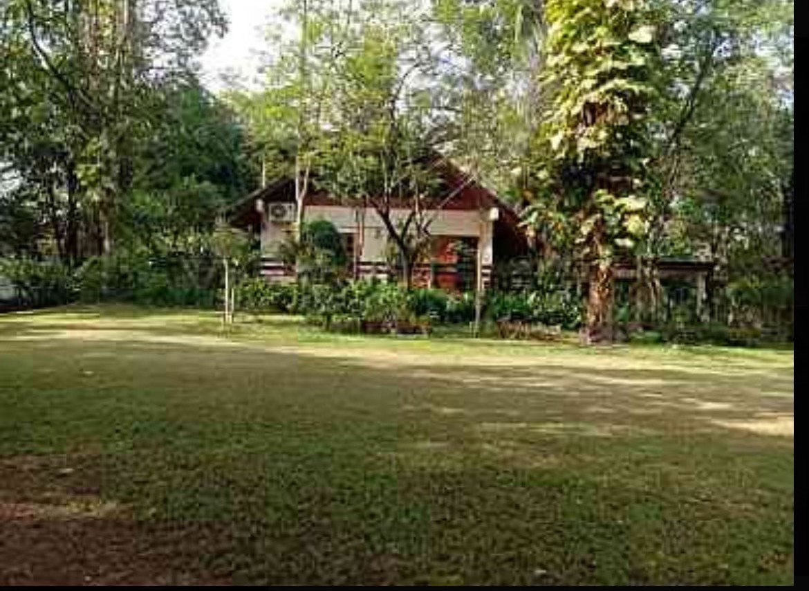 picture For Sale: 2-Rai Vacation Home with Unique Treehouse in Khanong Phra, Pak Chong - 2/12