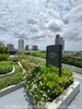 listing thumbnail image 13