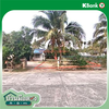 listing thumbnail image 14