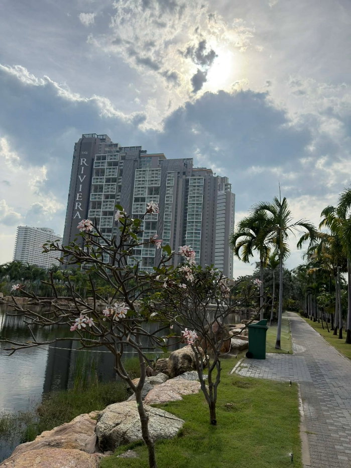 รูป ขายคอนโดริเวียร่าจอมเทียน 1 ห้องนอน ชั้น 35 วิวเมือง - รูปที่ 14/14