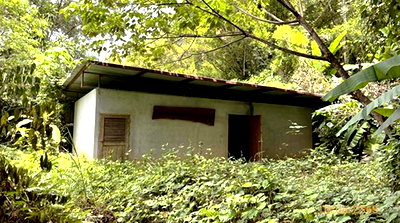 บ้านเดี่ยว ตะกั่วทุ่ง พังงา : บ้านเดี่ยว 4455.3 ตร.วา ตะกั่วทุ่ง พังงา 5.3M