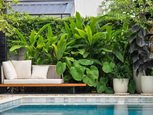 picture LUXURY VISTA VILLA FOR SALE, CENTRAL PATTAYA🔥Vista独栋双层大户型🔥 - 6/7