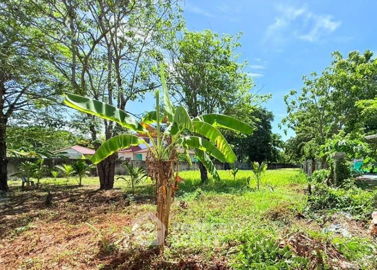 picture Land For Sale In Thawi Watthana Bangkok (ID 3183646) - 3/3