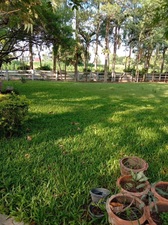 picture For Sale: 2-Rai Vacation Home with Unique Treehouse in Khanong Phra, Pak Chong - 7/12