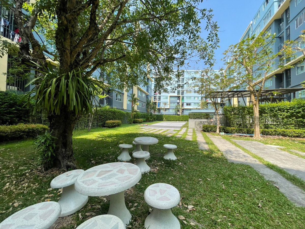 picture 🏢 D Condo Kathu | 1BR | Building C | 3rd Floor | 10,000 THB - 13/19