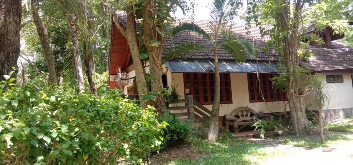 picture For Sale: 2-Rai Vacation Home with Unique Treehouse in Khanong Phra, Pak Chong - 5/12