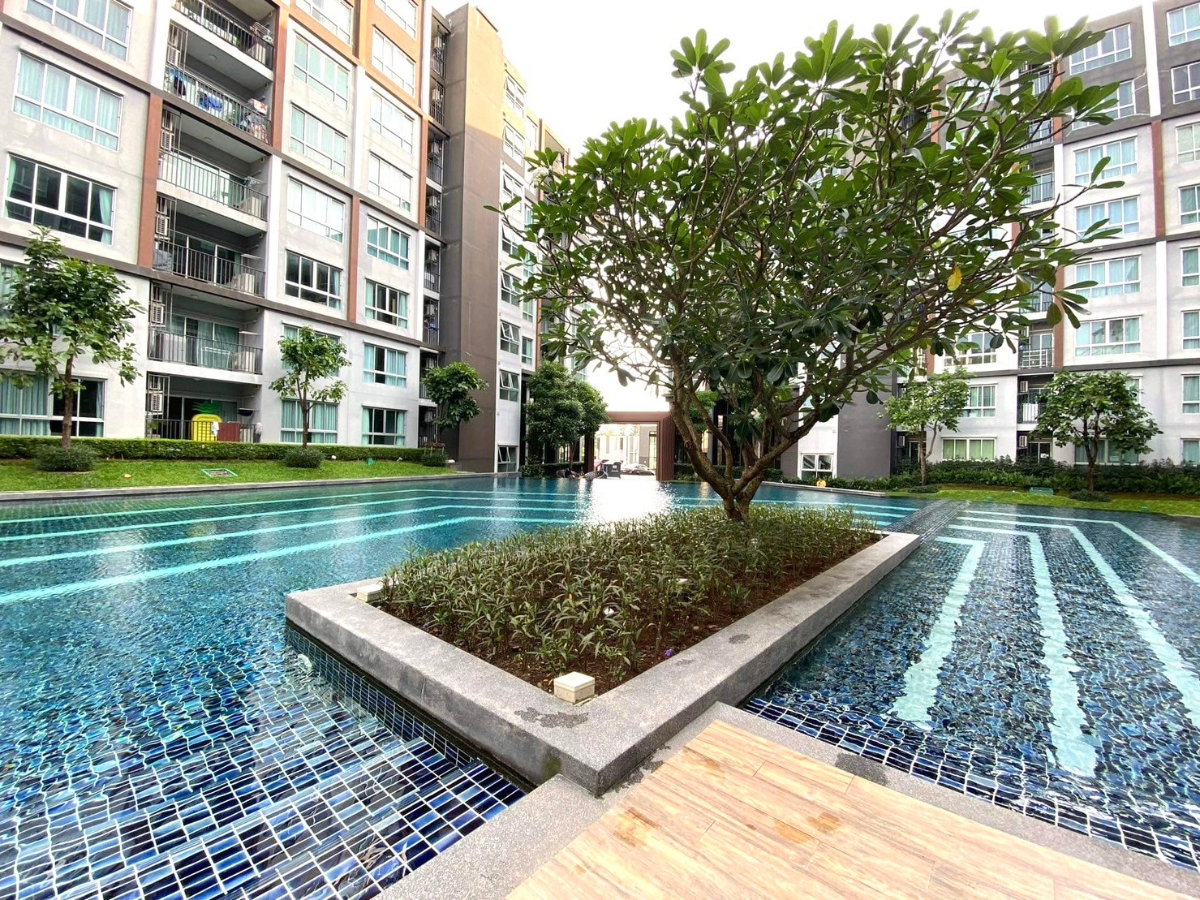 picture 🏢 D Condo Mine Kathu | 1BR | Building A | 8th Floor | 12,000 THB - 9/17