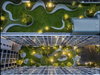 listing thumbnail image 12