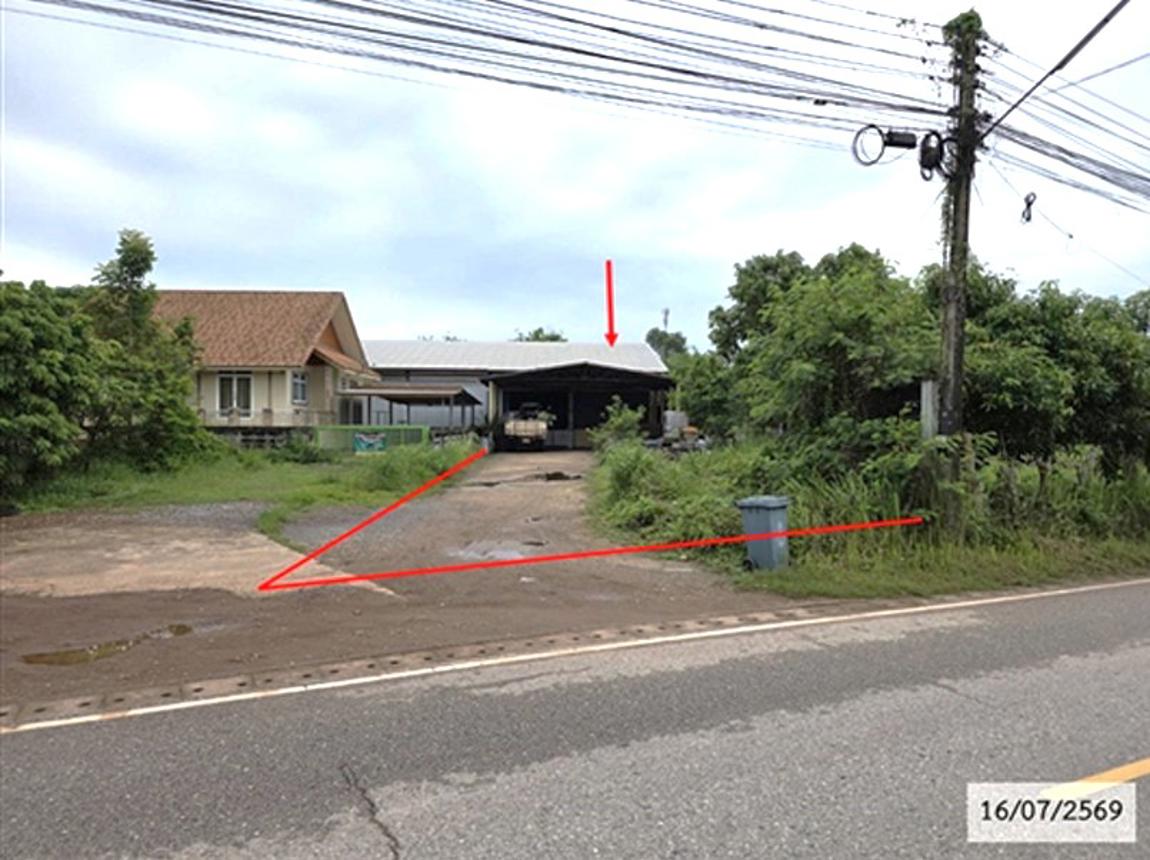 picture FACTORY 381 Sq.w. Si Songkhram Nakhon Phanom for 3M - 9/19