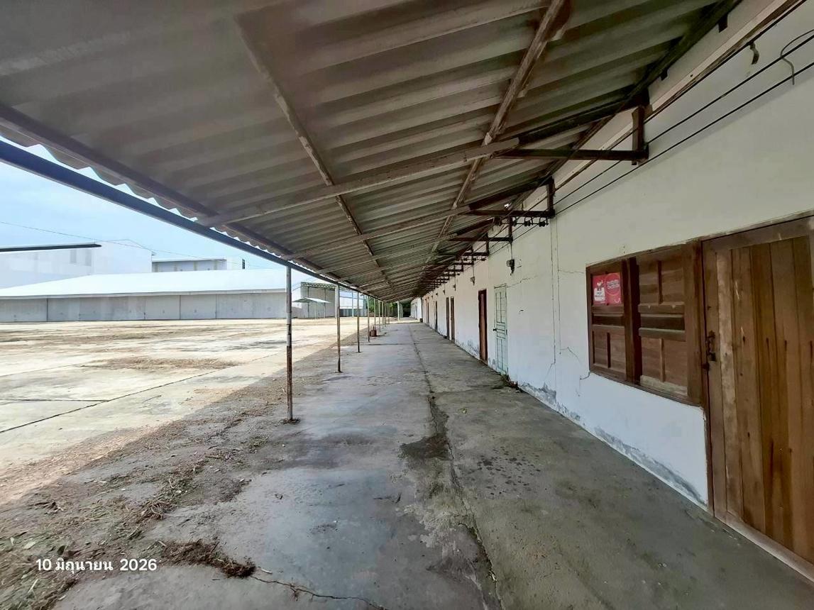 picture FACTORY 19157 Sq.w. Pho Thale Phichit for 103M - 43/57