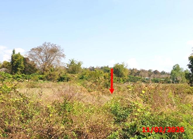 รูป ที่ดินว่างเปล่า 2145 ตร.วา ลี้ ลำพูน 1.5M - รูปที่ 4/13
