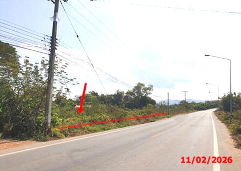 รูป ที่ดินว่างเปล่า 2145 ตร.วา ลี้ ลำพูน 1.5M - รูปที่ 10/13