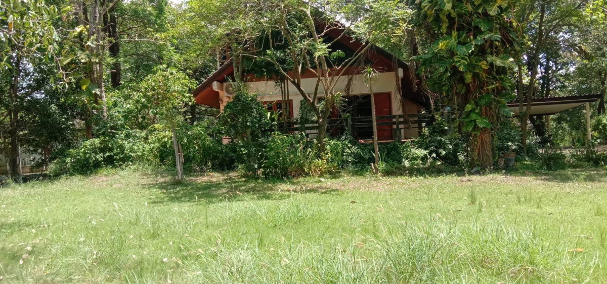 picture For Sale: 2-Rai Vacation Home with Unique Treehouse in Khanong Phra, Pak Chong - 6/12