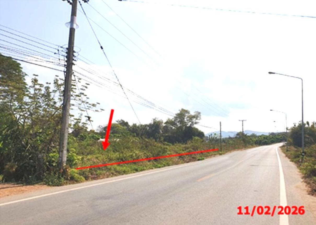 รูป ที่ดินว่างเปล่า 2145 ตร.วา ลี้ ลำพูน 1.5M - รูปที่ 6/13